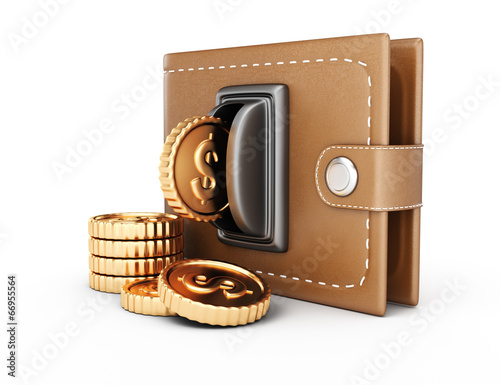 Wallet and coins