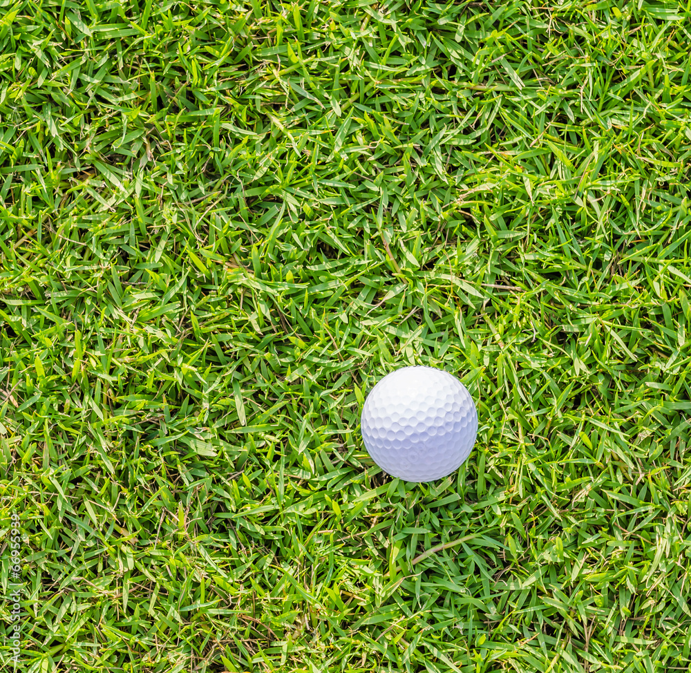 Golf ball on green grass