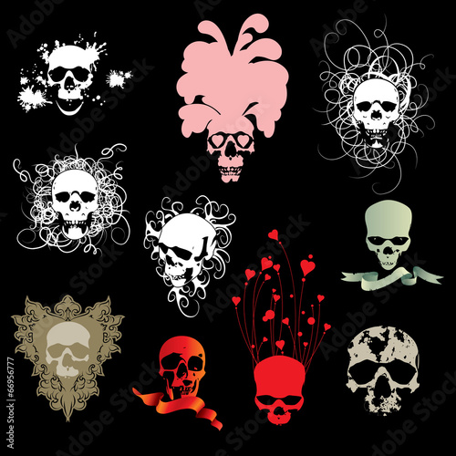 Skull collection