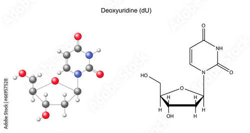 Structural chemical formula and model of deoxyuridine photo