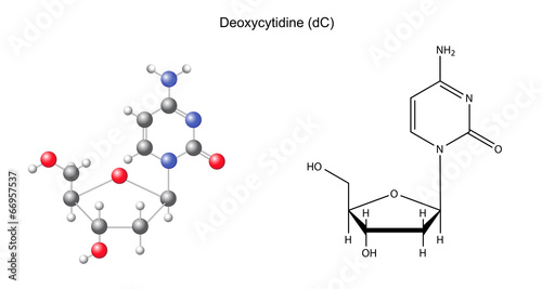 Structural chemical formula and model of deoxycytidine