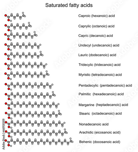 The chemical structural formulas of main saturated fatty acids