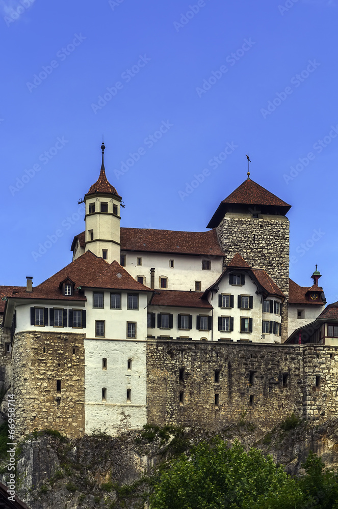 Aarburg Castle