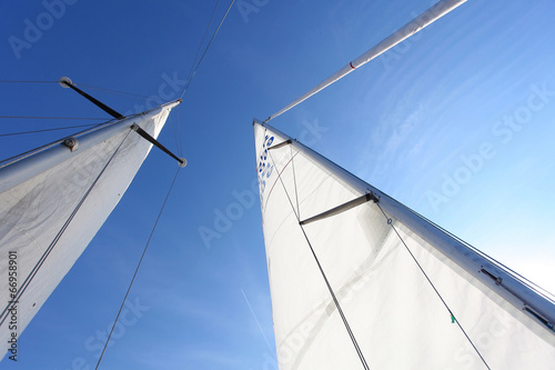 raised the white sails of yachts on the background of blue sky