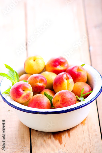 Fresh raw apricots