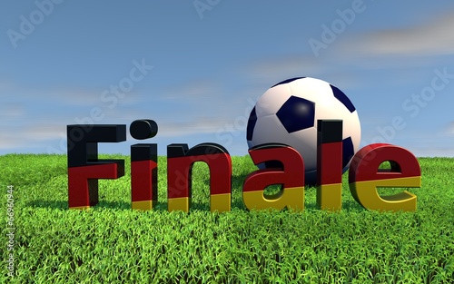 Bilde på lerret WM Finale