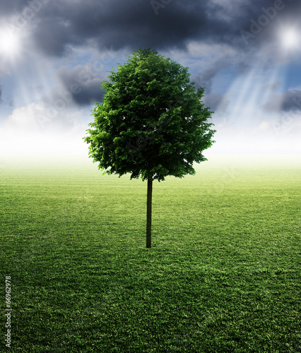 Baum mit Lichtstrahlen