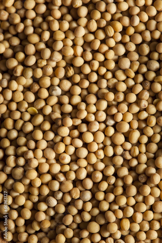 Raw Organic Mustard Seeds