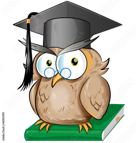 Wise owl cartoon