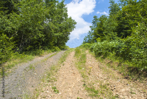 Принти на полотні Trackway