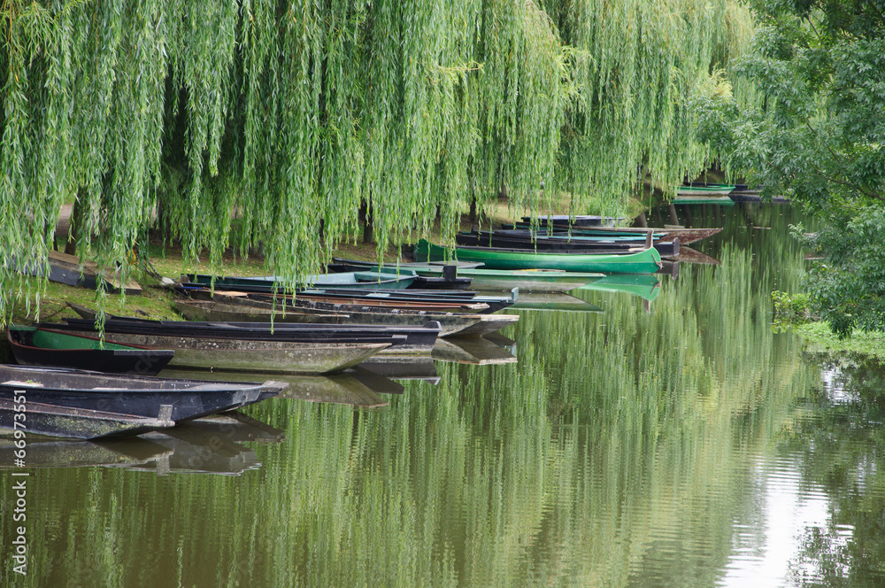 marais poitevin