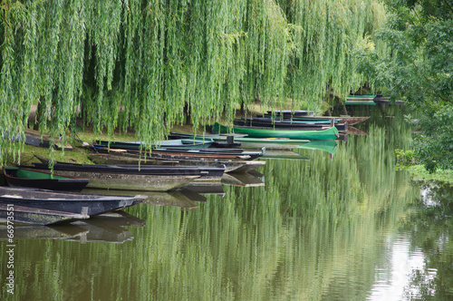 Obraz na płótnie marais poitevin w salonie