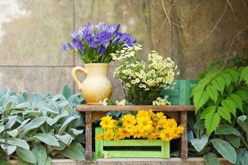 Fototapeta Naklejka Na Ścianę i Meble -  Garden decoration with wildflowers, outdoors