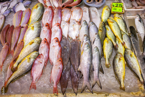 Fischmarkt in Asien photo