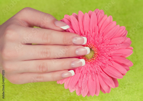 Beautiful woman's hand and nails with french manicure 