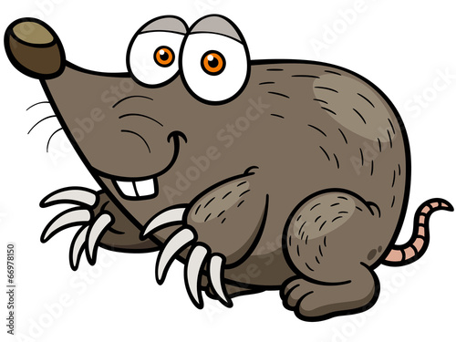 Vector illustration of cartoon mole