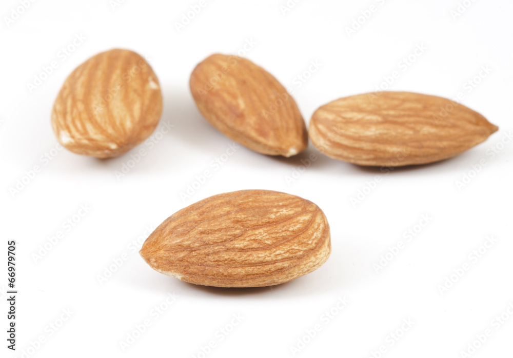 Focus on Almond on White