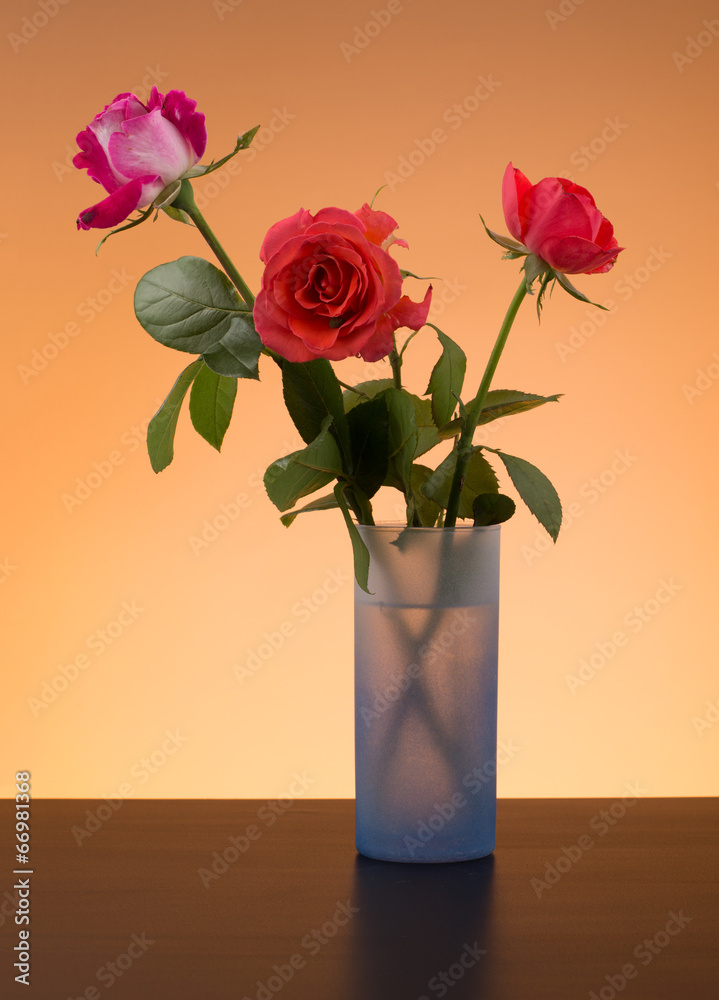 Fototapeta premium Roses in a vase