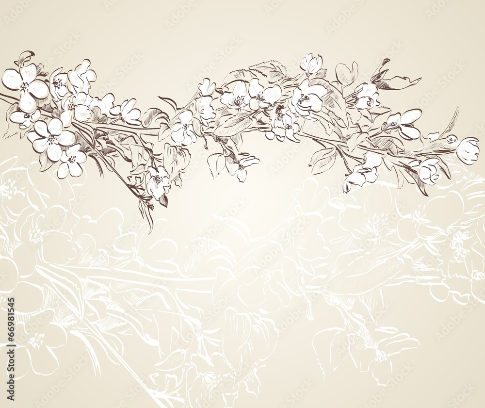 blossom blossom