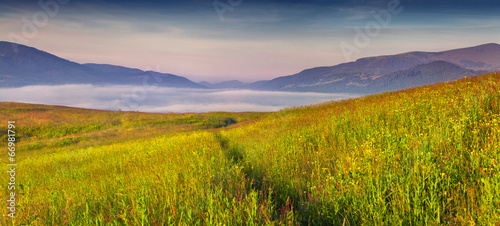 Panorama of the foggy summer morning in the mountains