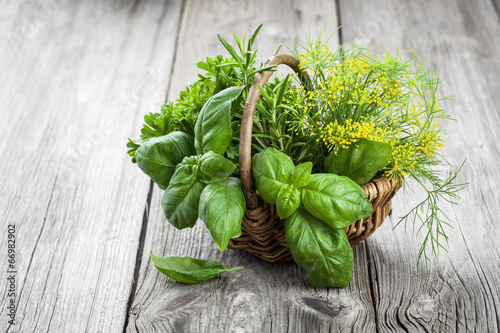Basket of freshly picked herbs including basil, rosemary, dill a