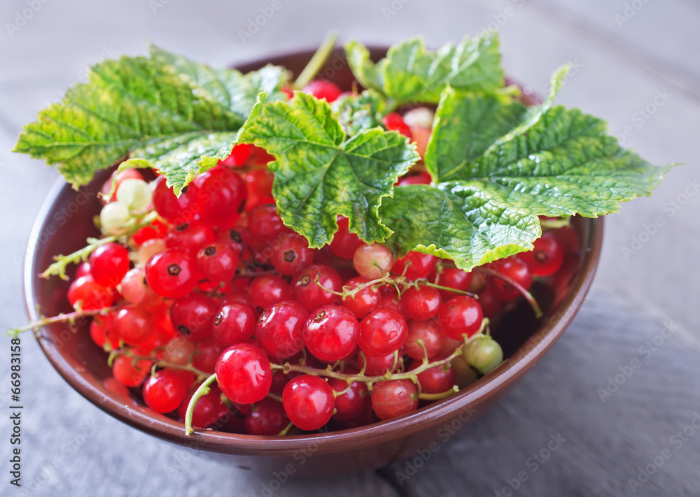 red currant red currant