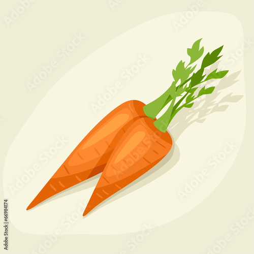 Stylized vector illustration of fresh ripe carrots.