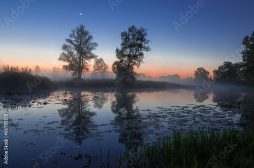 autumn landscape  trees in the mist at dawn