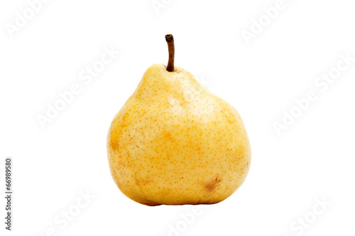 one pear on a white background