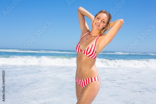 Gorgeous fit woman in bikini posing on the beach