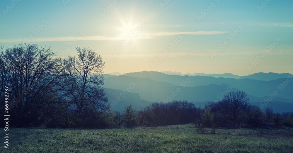Forest and mountain ridges at dawn