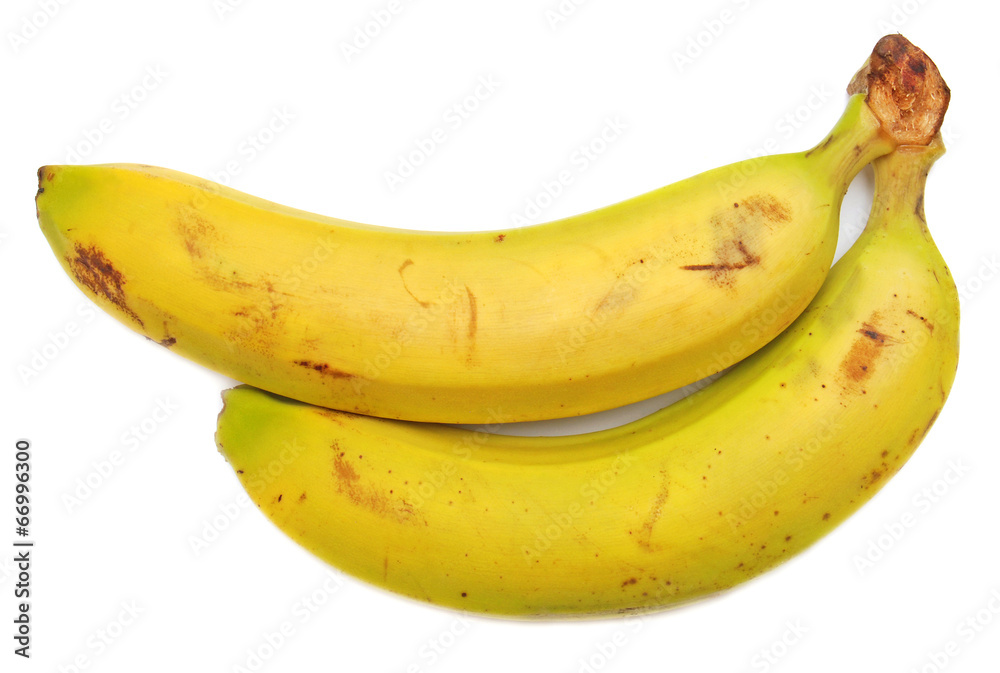 Bananas Bananas