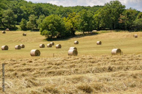 Paysage de campagne photo