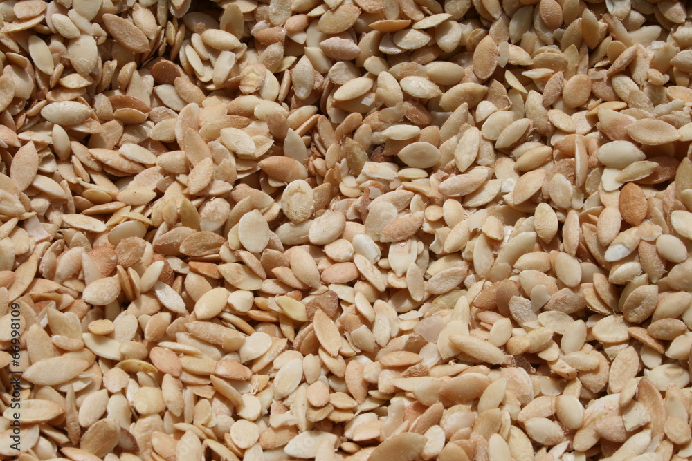 Argan 2 Argan 2