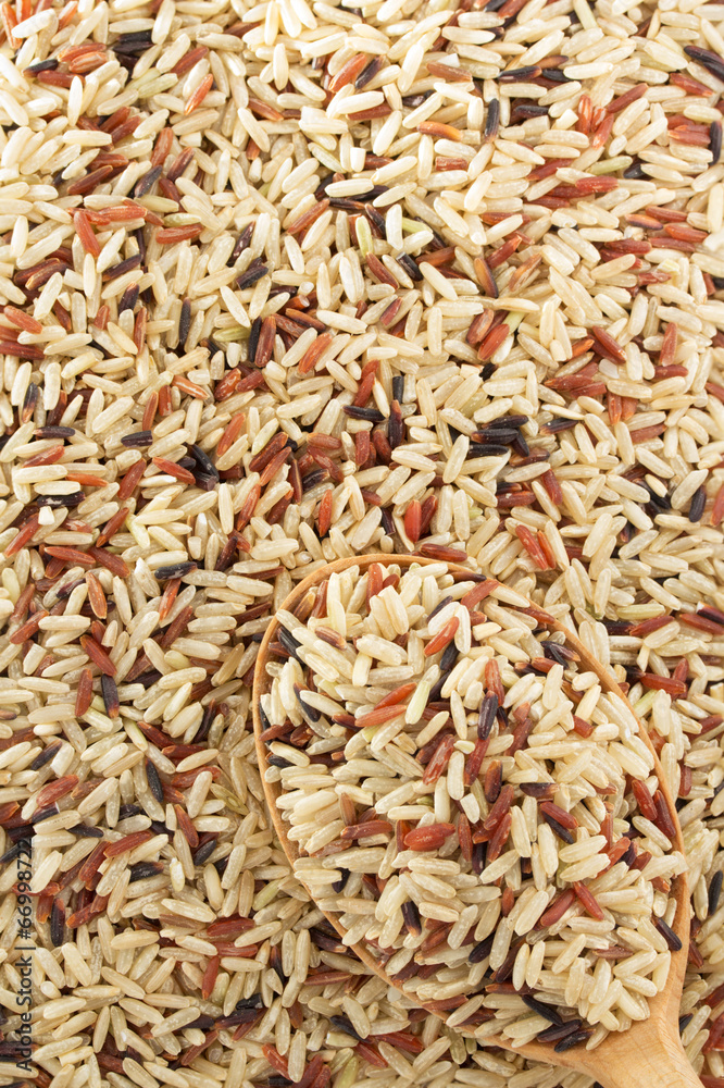 rice grain as background