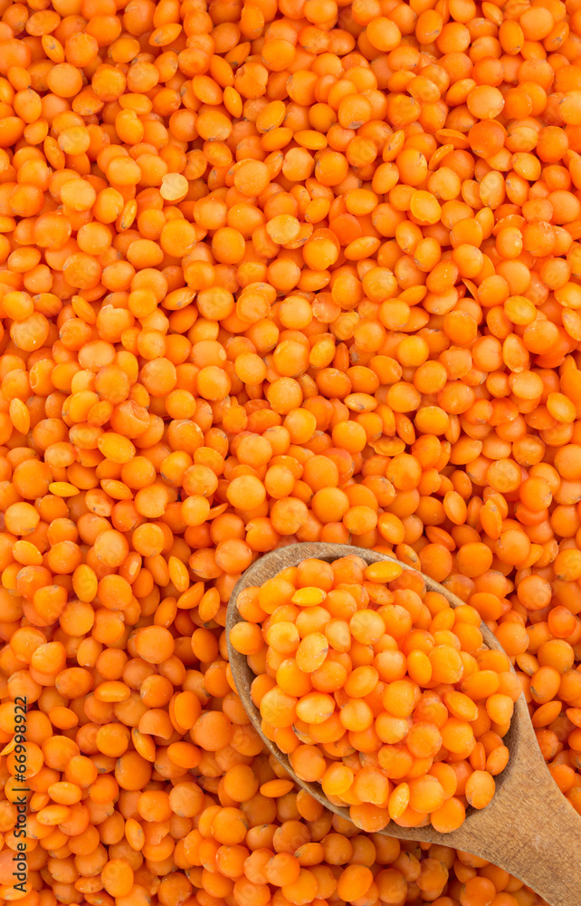 red lentil as background red lentil as background