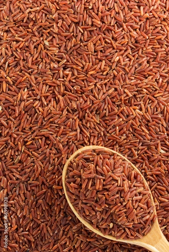 rice grain as background