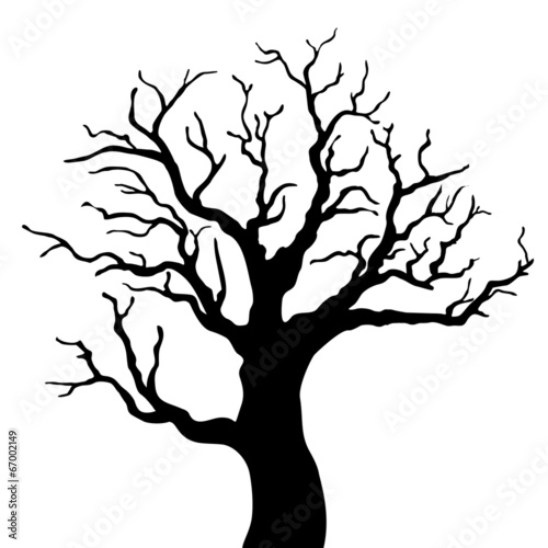 Tree silhouette with leaves on white background.