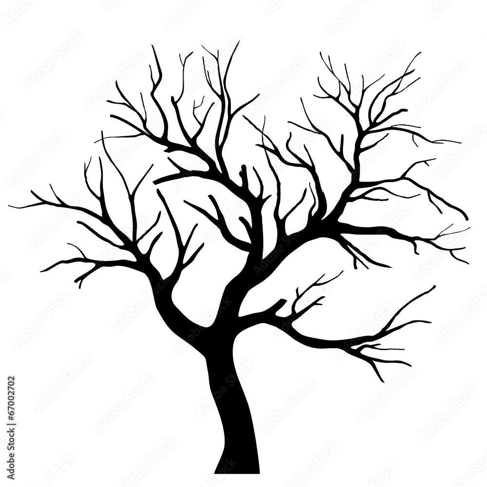 Fototapeta premium Tree silhouettes