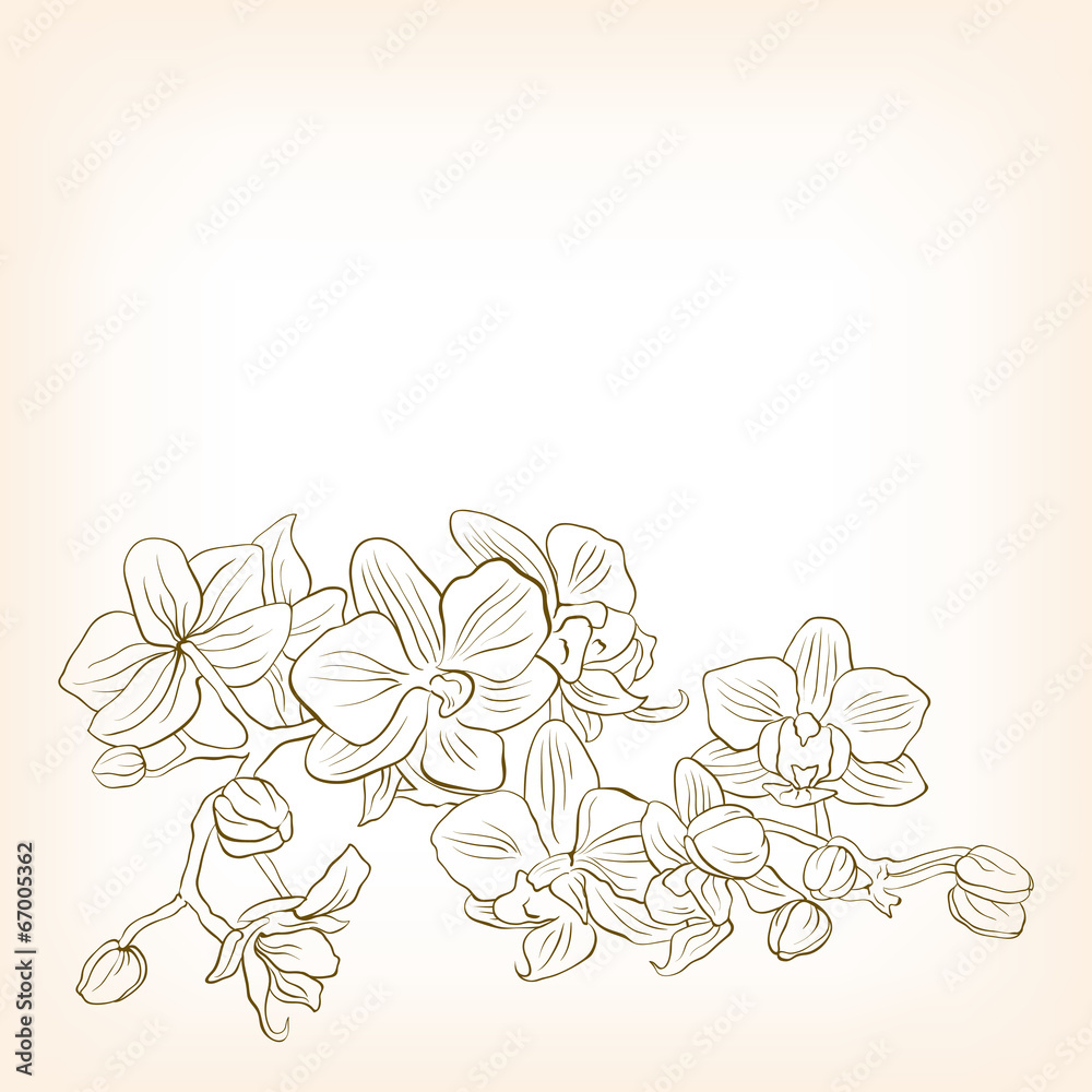 Abstract floral vector illustration for design. Abstract floral vector illustration for design.