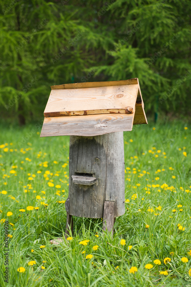 Old bee hive Old bee hive