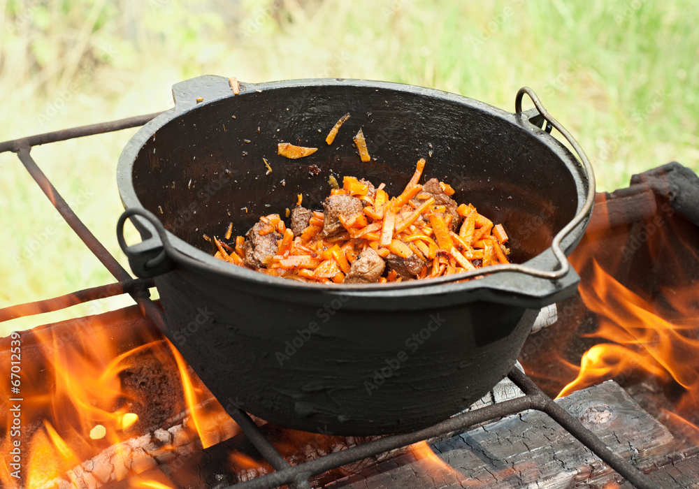 vegetables and meat on the fire vegetables and meat on the fire