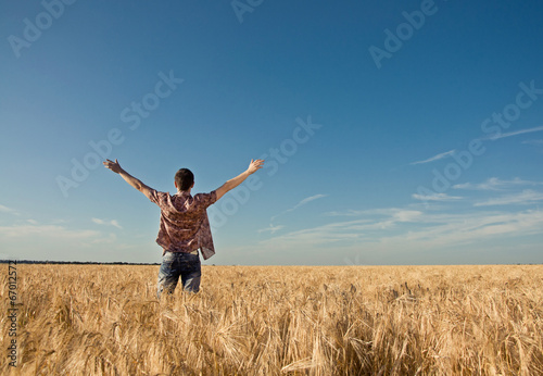 young man in the wheat field