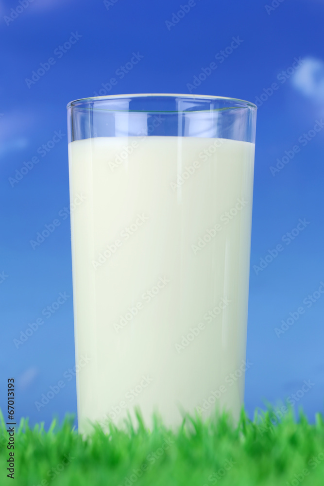 Frische Milch im Glas auf einer Wiese Frische Milch im Glas auf einer Wiese