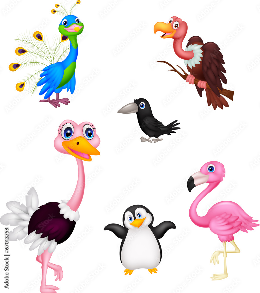 Fototapeta premium Bird cartoon collection