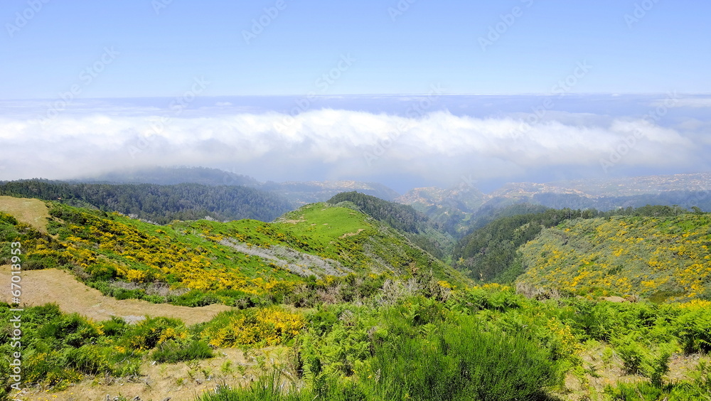 Naklejka premium Weitblick über den Wolken