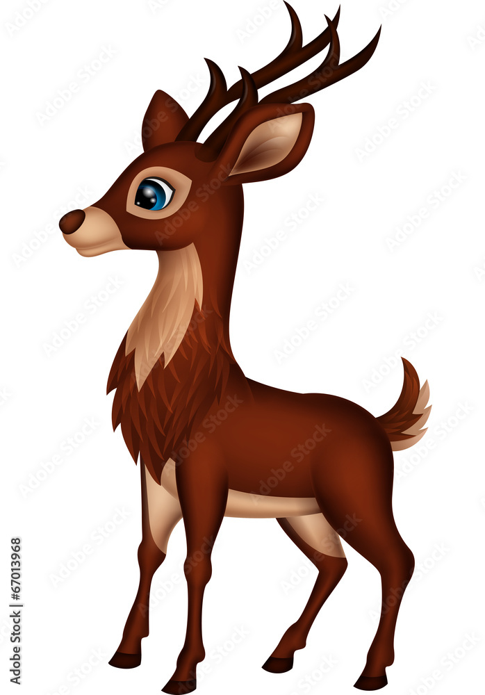 Cute deer cartoon Cute deer cartoon