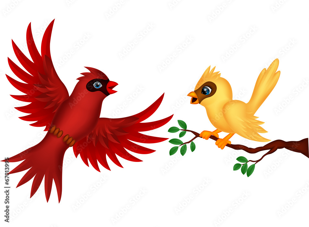Bird flying Bird flying