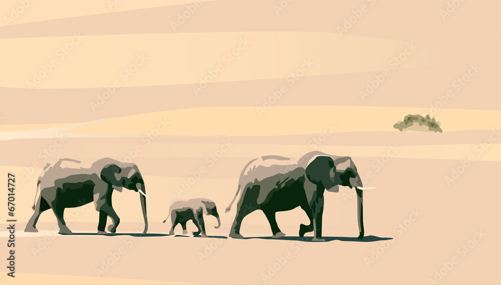 Naklejka premium elephants