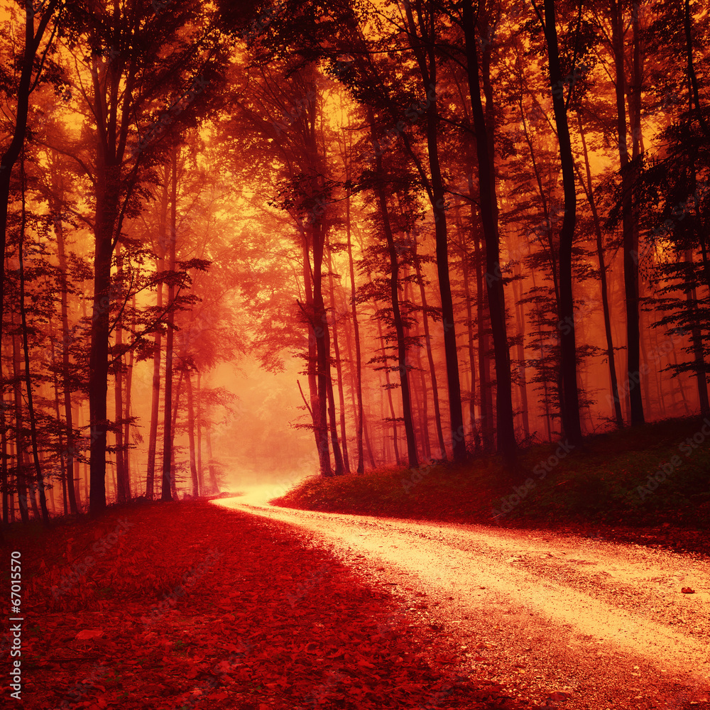 Fototapeta premium Red colored fantasy forest